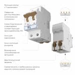 W902P326 / Автоматический выключатель 2P  32 A  C  6 кА — изображение 2