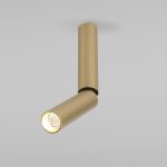 Pika 6W (25029/LED) латунь