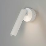 Պատային LED լուսատու 20126/1 LED սպիտակ