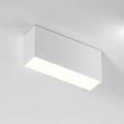 25109/LED 10W 3000K սպիտակ