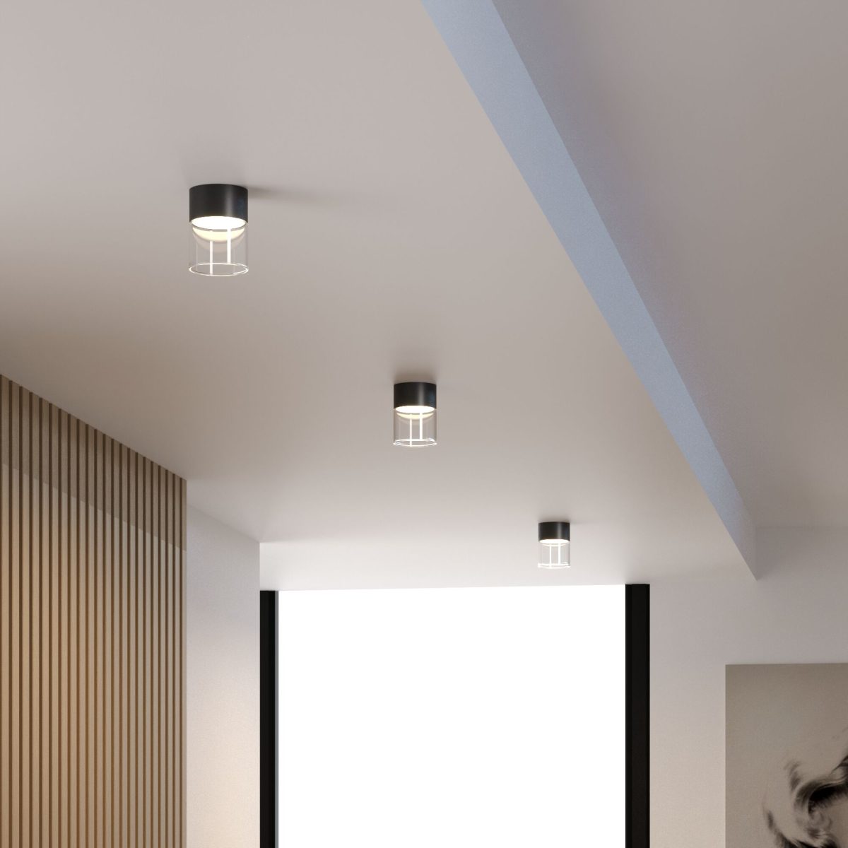 25047/LED 10W 4000K սև/թափանցիկ - Image 3