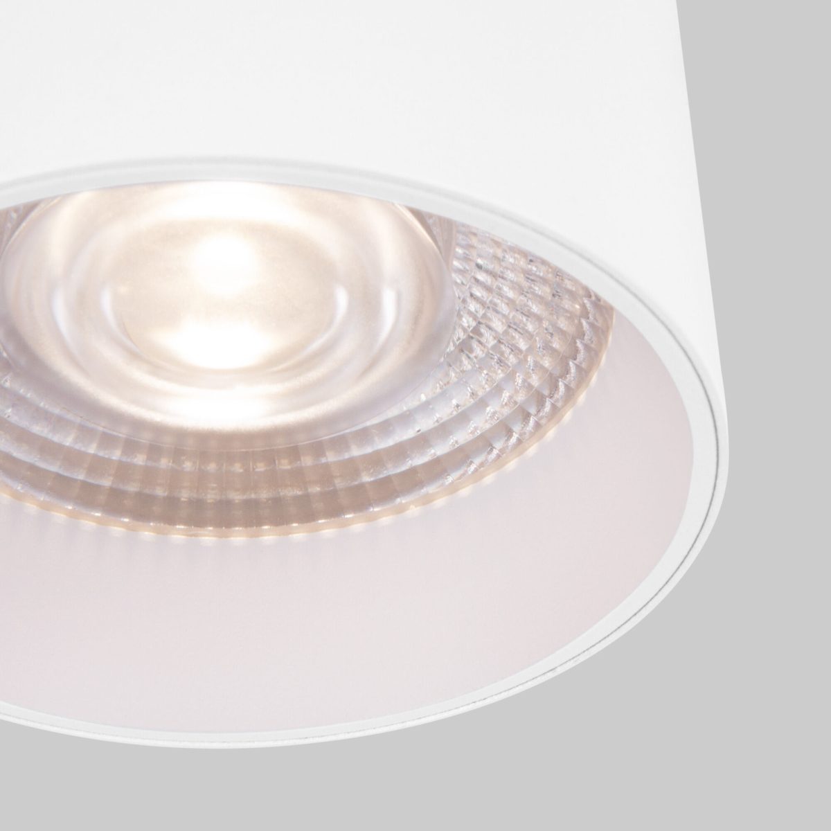 25034/LED 10W 4200K белый — изображение 2