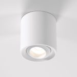 25041/LED 10W 4200K белый — изображение 2
