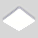 DLS043 10W 4200K